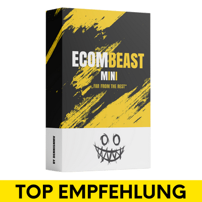 Ecombeast Mini Erfahrungen von Dennis Naumov